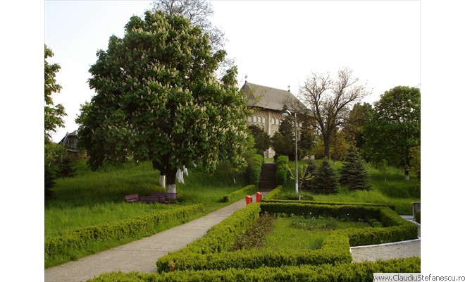 Borzesti