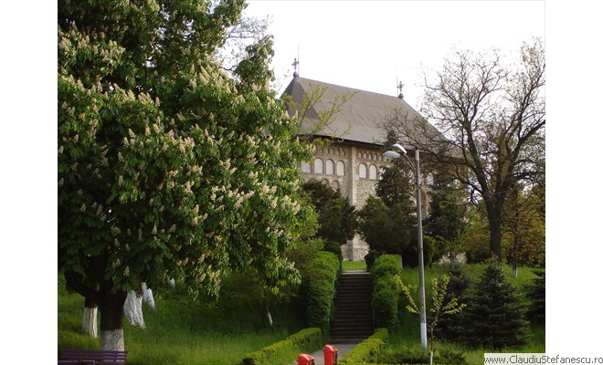 Borzesti