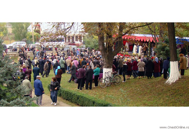 2008 - Borzesti Resfintire 41