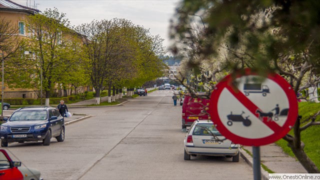 Calinescu 08