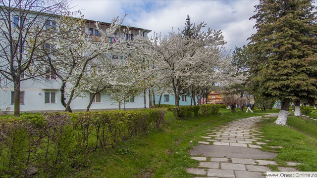 Calinescu 13