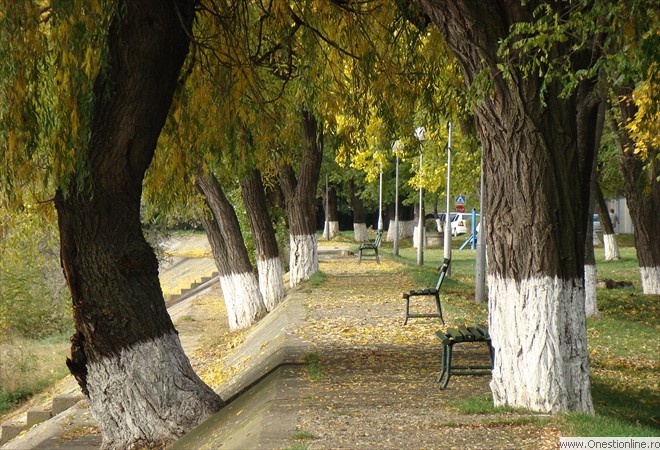 Casinului 04