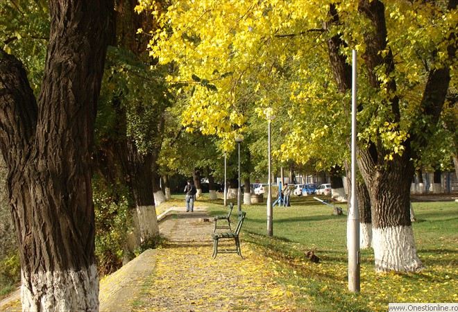 Casinului 05