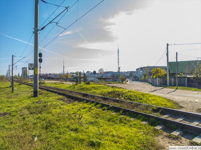 Ciresoaiei 06