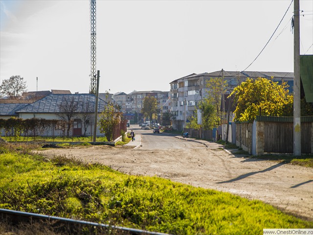 Ciresoaiei 07