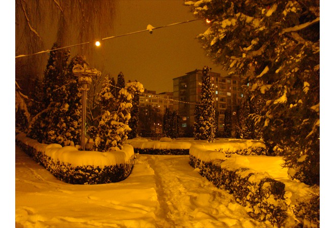 DSC02833