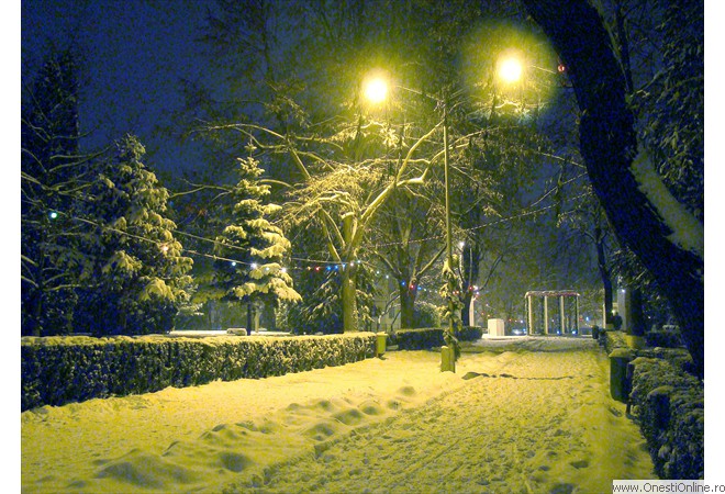 DSC08164