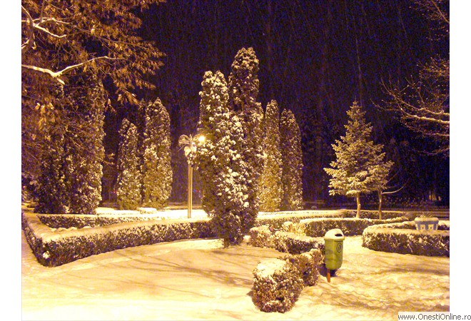 DSC08190
