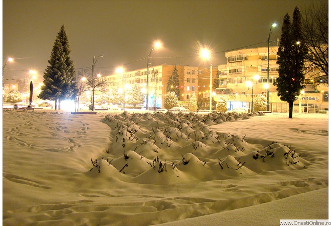 DSC08206