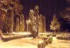 DSC08190
