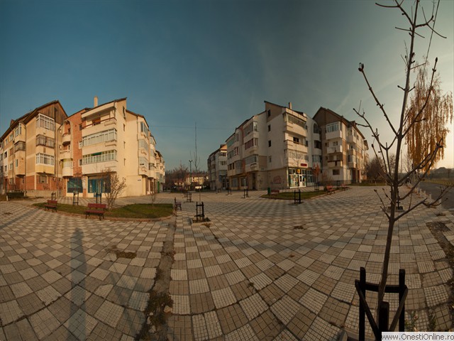 Cuza 02