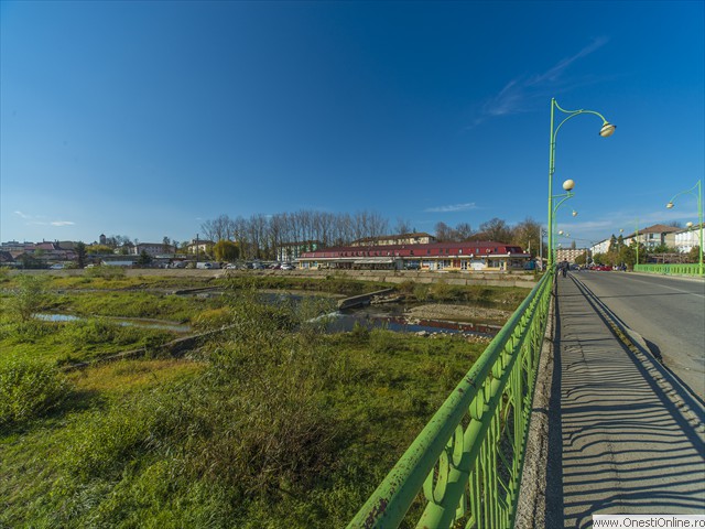 Cuza 10