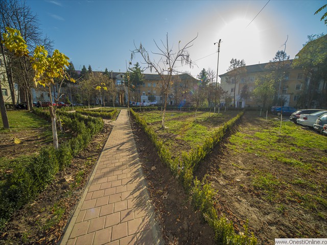 Cvartal (15)