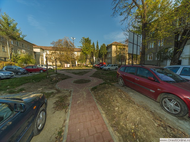Cvartal (18)