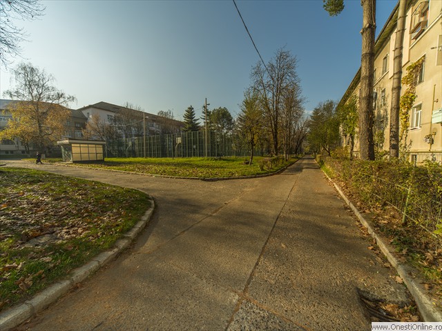 Cvartal (20)