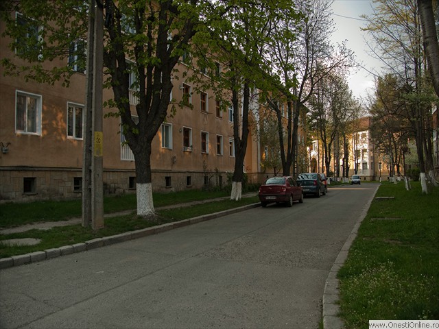 Cvartal (23)