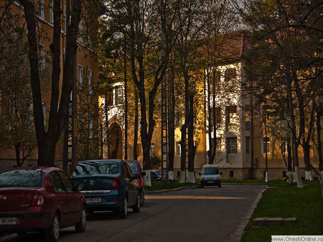 Cvartal (24)