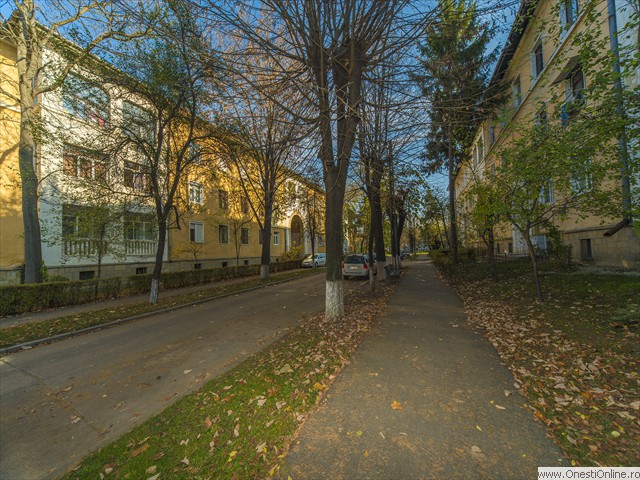 Cvartal (7)