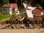 2005 - Inundatii - Urmele dezastrului 02