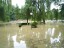 2005 - Inundatii - Urmele dezastrului 31