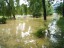 2005 - Inundatii - Urmele dezastrului 32