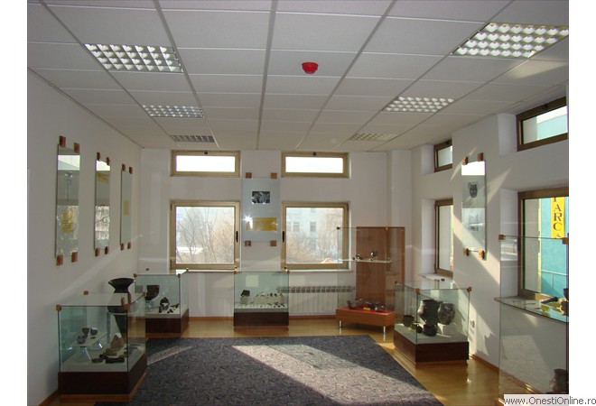 DSC03981