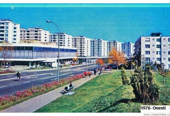 1976