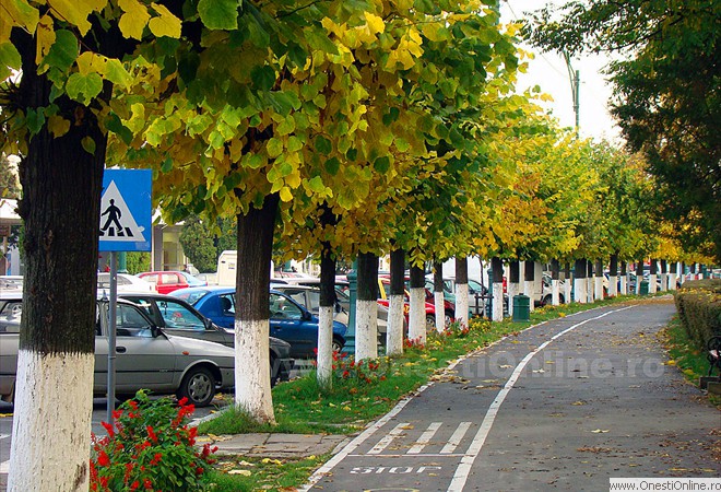 Bulevardul Oituz - 26