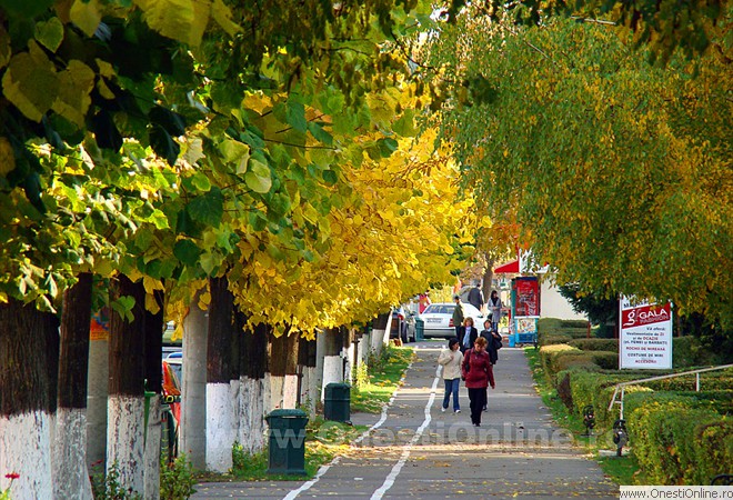 Bulevardul Oituz - 27