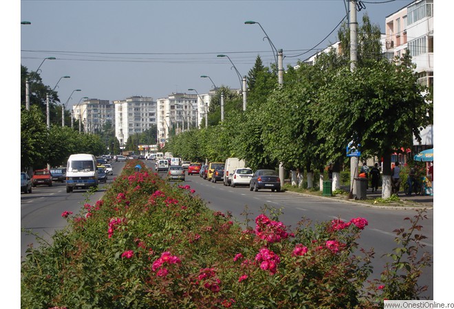 Oituz Bulevard Vara 01