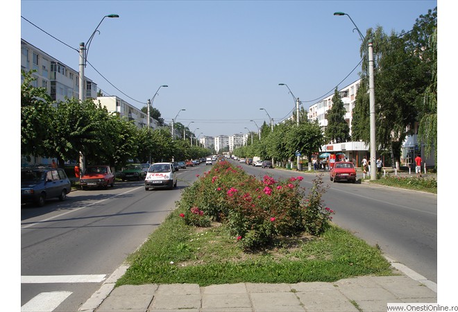 Oituz Bulevard Vara 02