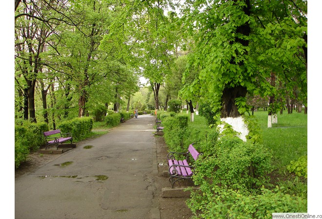 DSC00007