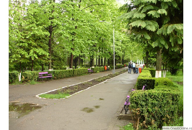 DSC00009