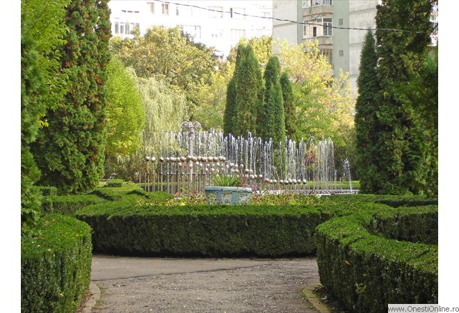 DSC00030