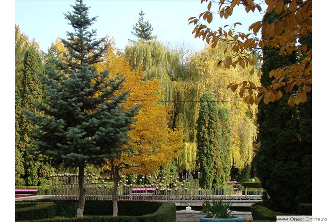 DSC07615
