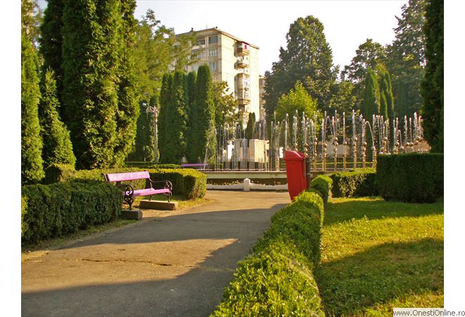 P1000460