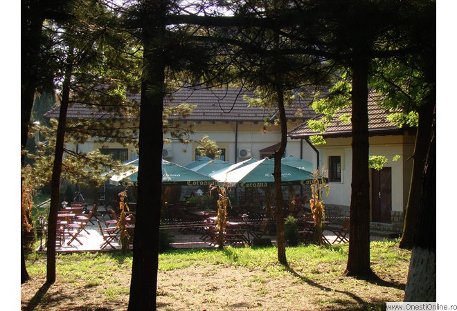 DSC07079