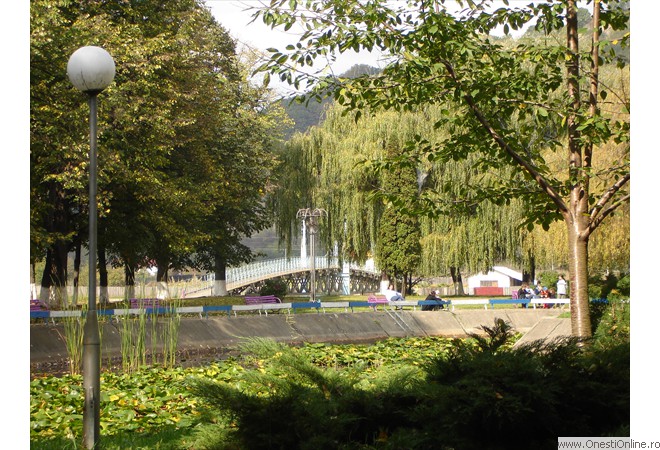 DSC00017