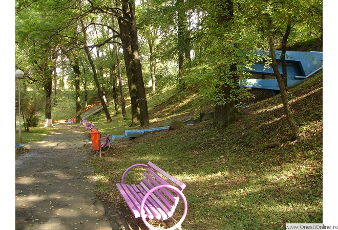 DSC00019