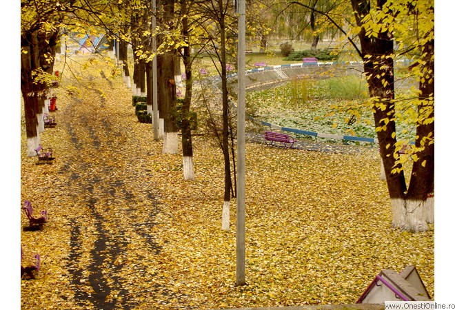 DSC00041