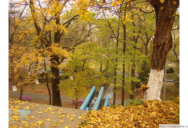 DSC02748
