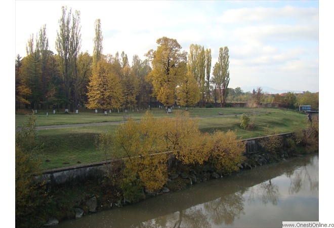 DSC07579