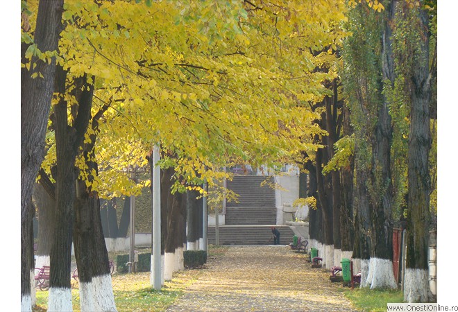 DSC07580