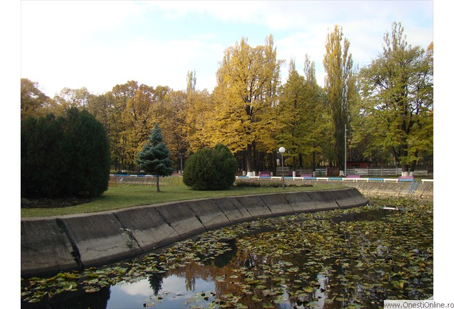 DSC07591