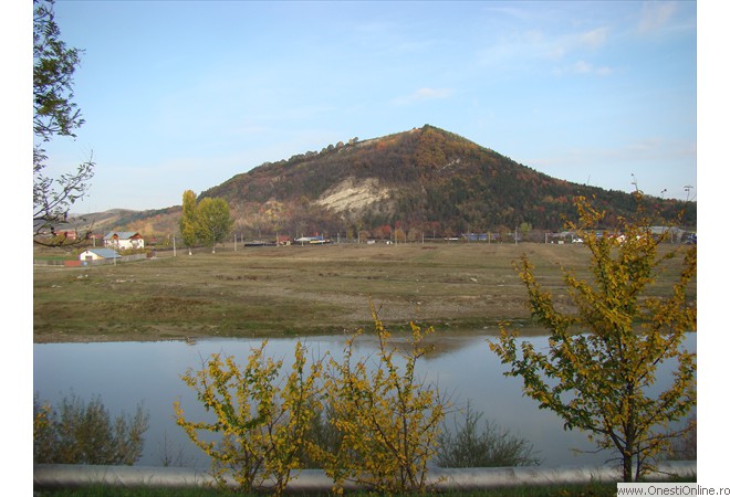 DSC07593
