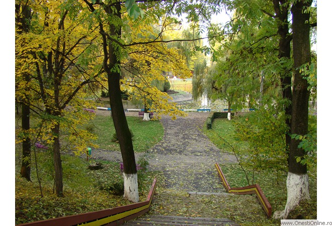 DSC07604
