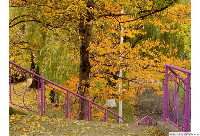DSC00045