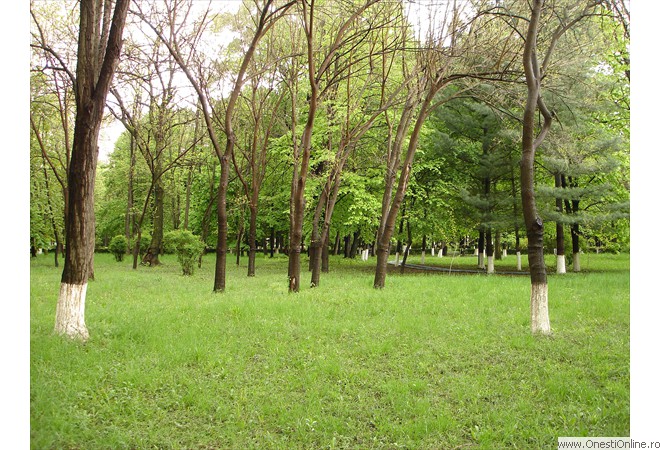 DSC00001