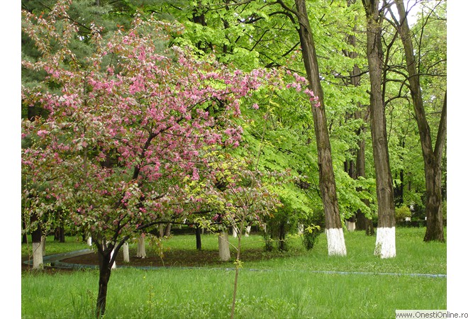 DSC00003