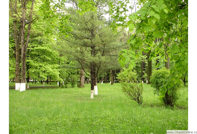 DSC00004